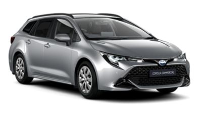 model image